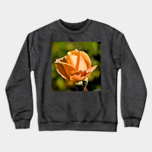 Peach Rose Bud Crewneck Sweatshirt